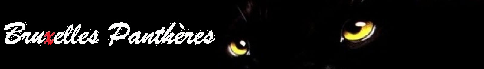 Bruxelles Panth&egrave;res